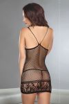 localLIV-KPL-CANNA_BACK